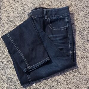 Lane Bryant Womens Deep Indigo Straight Jeans